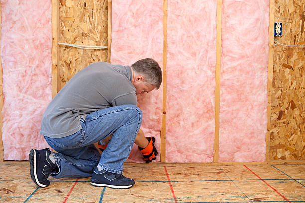 Best Wall Insulation Installation  in Eastland, TX